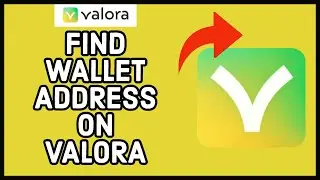 How to Find Wallet Address on Valora App 2023?