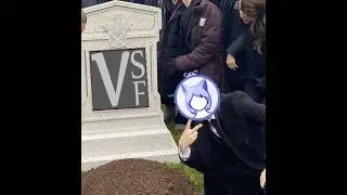 Goodbye VSeeFace wellcome VMagicMirror