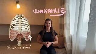 Diaphragmatic Breathing: For Pregnant Women / How to Breathe Properly