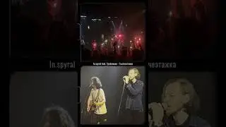 In.spyral feat. Гребенщик - Тысячеэтажка || #inspyral #Гребенщик #концерт