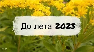 До лета 2023 осталось... (с городами)