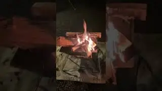 フォレスター × 焚火