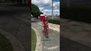 Inteligência