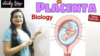 Placenta| #reproductive  System ICSE & CBSE Class-10 Bio #boardexam2023 #biologyclass10th