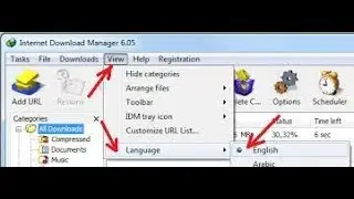 HOW TO || CHANGE LANGUAGE || IN IDM || BY S.A.A