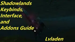 WoW Shadowlands Prepatch - My Keybinds, Interface, Addons Guide - Lvladen