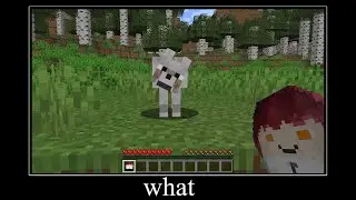 Can't even play Minecraft in Ohio 💀 (Chainsaw Man edition)