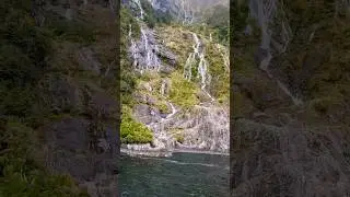 Waterfalls in Milford Sound New Zealand #travel #nature #newzealand #milfordsound #waterfall #shorts