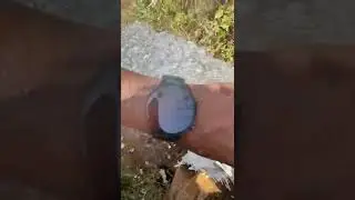 amazfit gtr 2 Smart watch water test 