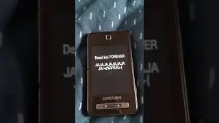 Samsung SGH-F480i startup and shutdown