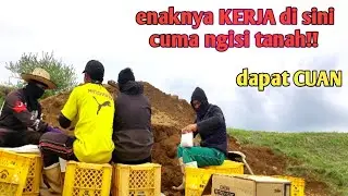 cara ngisi tanah untuk menahan mulsa/maruchi dan derasnya air