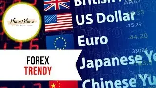 The Real Solution FOREX Traders Want...