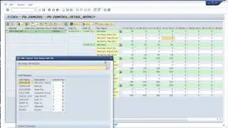 SAP APO Allocation & Order Management Cockpit (AMC) Demo