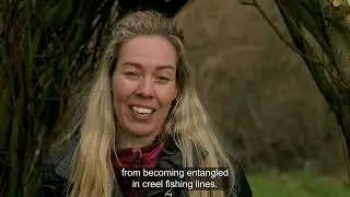 Nature Restoration Fund Project Showcase - Hero Film B