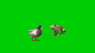Green screen video 2022।South Adda