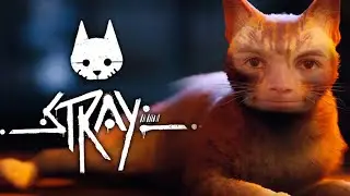 Chatting, Playing more Stray and Packing Orders :)