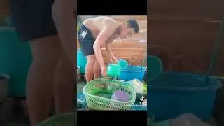 lagi bantu ibu negara