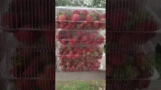 07.09.24 Сбор 14 кг