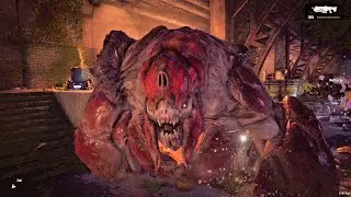 What The Heck Is That?! | Gears of War 4