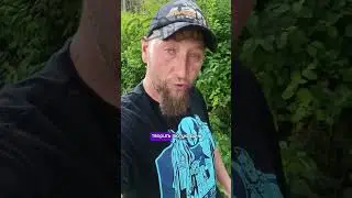 #весна