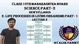 Energy Production in Microorganism through Anaerobic Respiration |ATP:EnergyCurrency | RST | By Alok