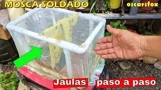 Cómo Hacer una Caja para Reproducir Mosca Soldado en casa BSF #bsf #msn