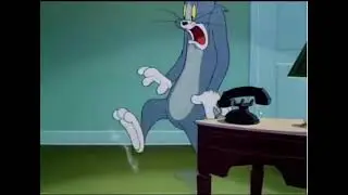 TOM AND JERRY-The Missing White Mouse Will Explode🤯!!!(EPISODE 3)