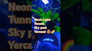 SKY PARK YERCAUD || NEON LIGHT TUNNEL #laserlightshow #skypark #yercaudtouristplaces #neonlights