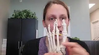 Why is my second toe longer than my first?