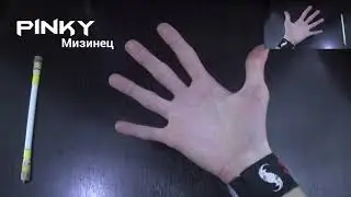 Обучение Pen Spining: Терминология / распальцовка / тренировки (часть 1)