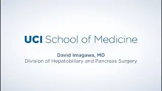 Division of Hepatobiliary and Pancreas Surgery