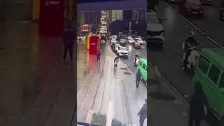 Давно потерявшаяся собака учуяла запах хозяина