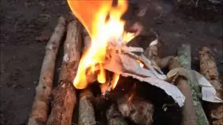 Bushcraft Fire-lighting using Dandelion and Ferro Rod - a4adventure