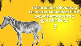 നിങ്ങൾക്കറിയാമോ ഈ ജീവിയേ?#animals #malayalam
