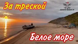 Рыбалка на мысе Малинник.Ловим Треску.