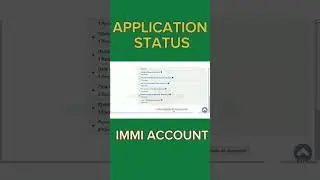Visa Application Status  RECEIVED with a Flag 