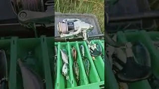 Мы с Барбосом на форель!