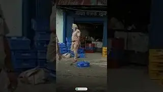 What caused Ludhiana's Gas Leak Tragedy? 