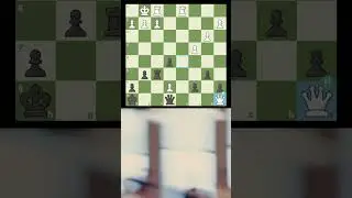 BRILLIANT 💎 #rooksacrifice  #brilliantmove #chessbrillantmoves  #chesstraps #queensac