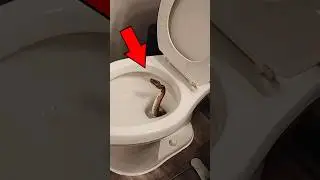 Что-то перехотелось😐