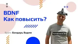 Как поднять уровень BDNF