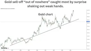 Gold sell off “out of nowhere” caught most by surprise shaking out weak hands