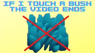 if I touch a bush the video ends