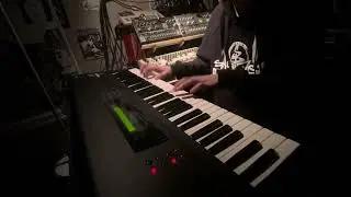 Gypsy Woman - Crystal Waters played on a Korg M1
