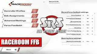 RaceRoom Force Feedback Settings Guide