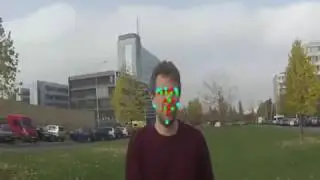 Face features detection by clandmark