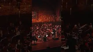 Harry Potter | Imperial Orchestra 