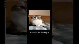 комару и повестка ... 