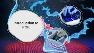 Introduction to PCR