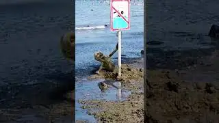 Anapa. Zombies on the beach😲